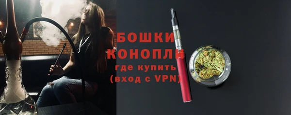 spice Бронницы